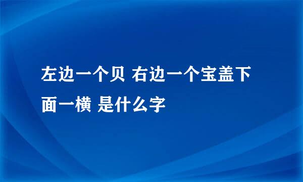 左边一个贝 右边一个宝盖下面一横 是什么字