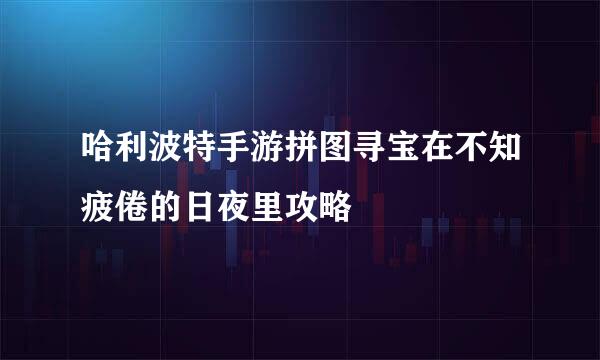 哈利波特手游拼图寻宝在不知疲倦的日夜里攻略