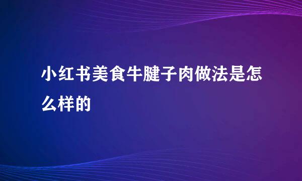 小红书美食牛腱子肉做法是怎么样的