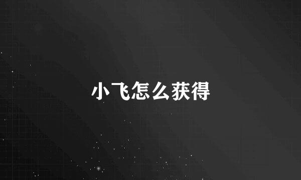 小飞怎么获得