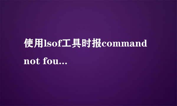 使用lsof工具时报command not found如何处理