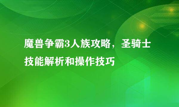 魔兽争霸3人族攻略，圣骑士技能解析和操作技巧