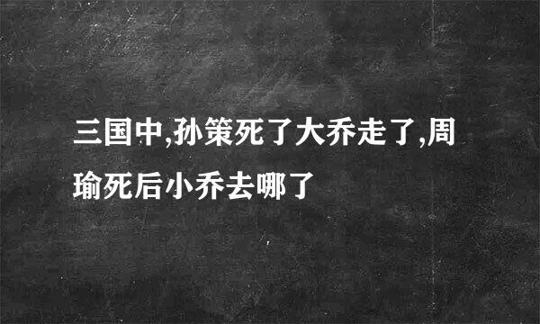 三国中,孙策死了大乔走了,周瑜死后小乔去哪了