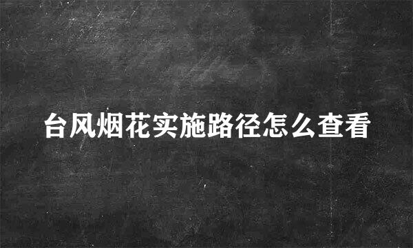 台风烟花实施路径怎么查看
