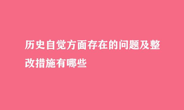 历史自觉方面存在的问题及整改措施有哪些