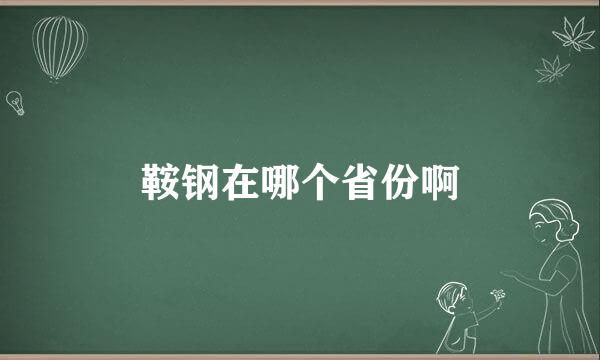 鞍钢在哪个省份啊