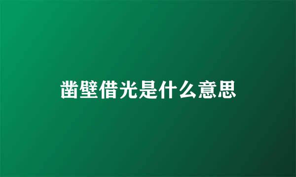 凿壁借光是什么意思