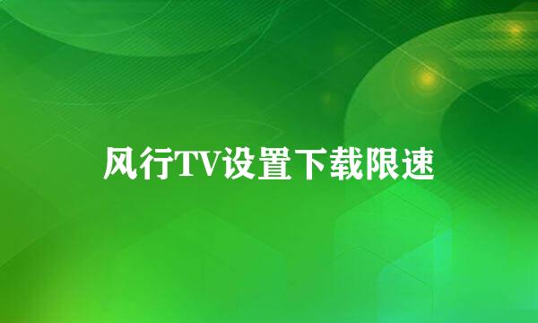 风行TV设置下载限速