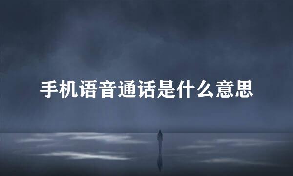 手机语音通话是什么意思