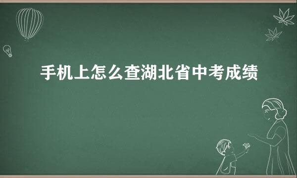 手机上怎么查湖北省中考成绩