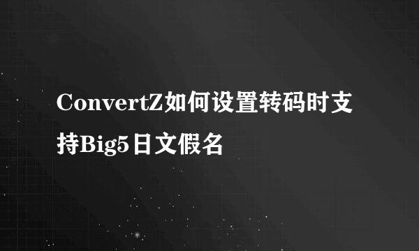 ConvertZ如何设置转码时支持Big5日文假名