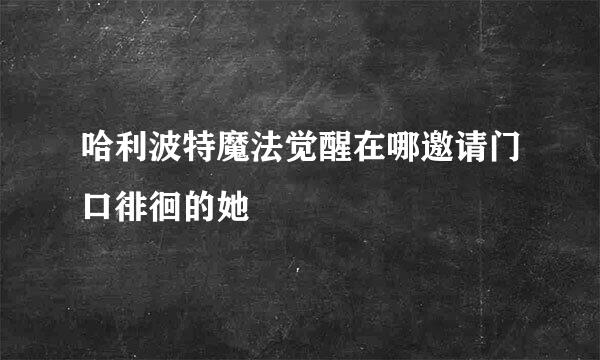 哈利波特魔法觉醒在哪邀请门口徘徊的她
