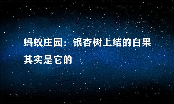 蚂蚁庄园：银杏树上结的白果其实是它的
