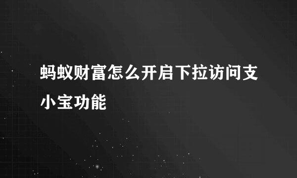 蚂蚁财富怎么开启下拉访问支小宝功能