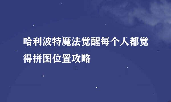 哈利波特魔法觉醒每个人都觉得拼图位置攻略