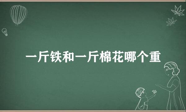 一斤铁和一斤棉花哪个重