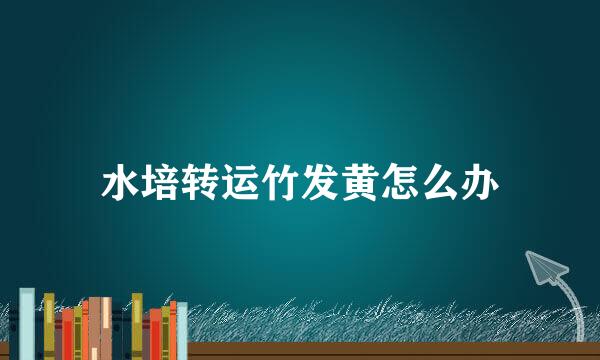 水培转运竹发黄怎么办