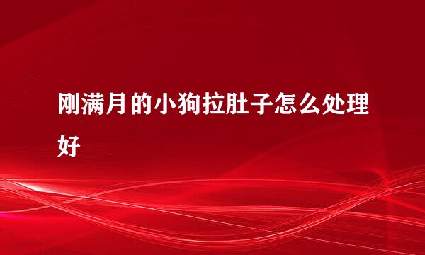刚满月的小狗拉肚子怎么处理好