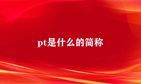 pt是什么的简称