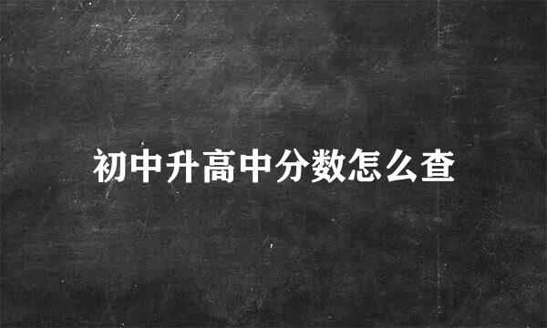 初中升高中分数怎么查
