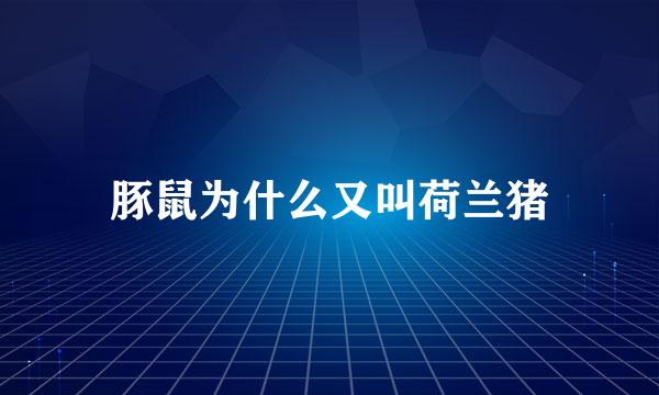 豚鼠为什么又叫荷兰猪