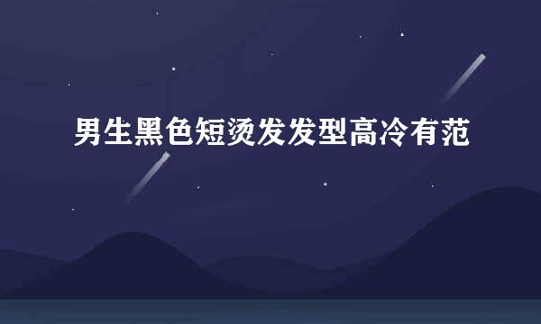 男生黑色短烫发发型高冷有范
