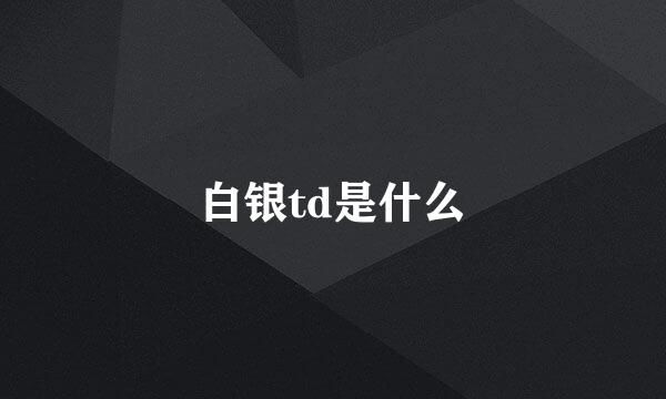 白银td是什么