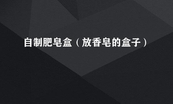 自制肥皂盒（放香皂的盒子）