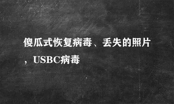 傻瓜式恢复病毒、丢失的照片，USBC病毒