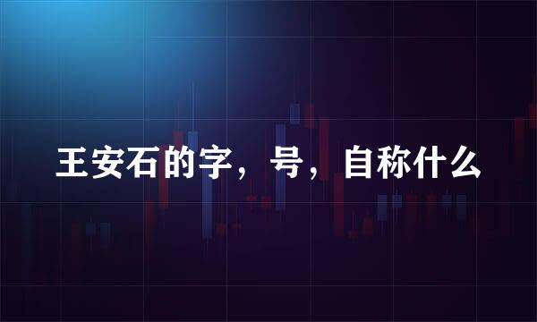 王安石的字，号，自称什么