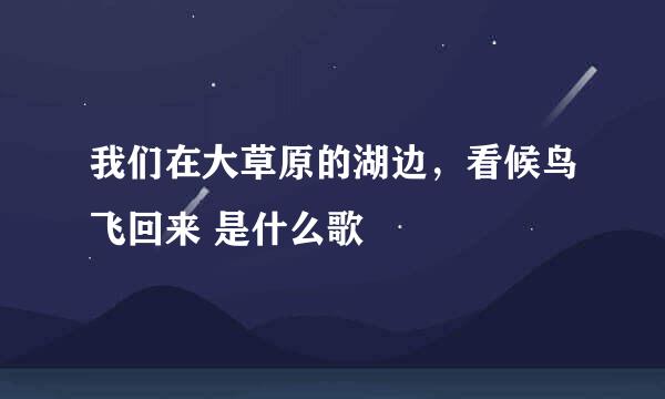 我们在大草原的湖边，看候鸟飞回来 是什么歌