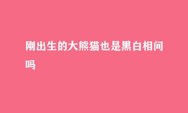 刚出生的大熊猫也是黑白相间吗