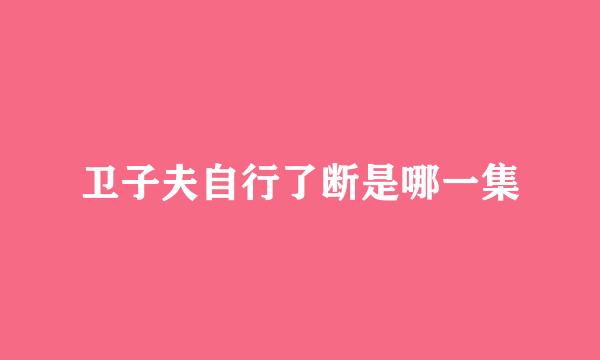 卫子夫自行了断是哪一集