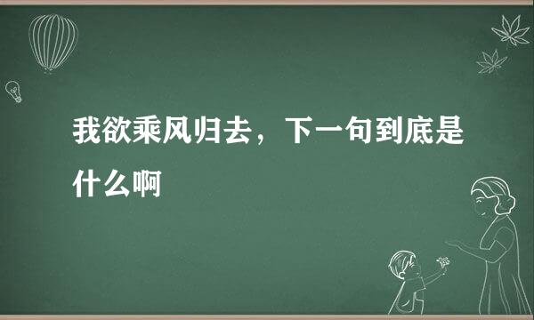 我欲乘风归去，下一句到底是什么啊