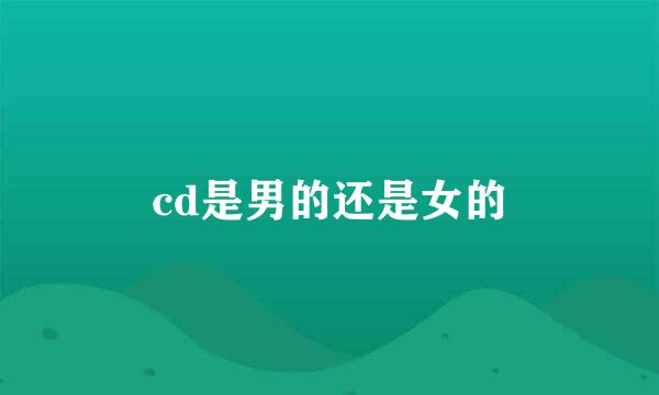 cd是男的还是女的