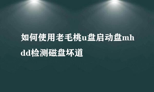 如何使用老毛桃u盘启动盘mhdd检测磁盘坏道