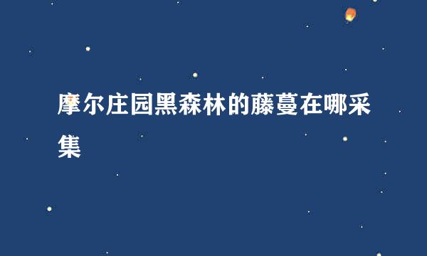 摩尔庄园黑森林的藤蔓在哪采集