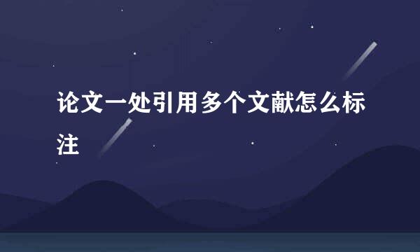 论文一处引用多个文献怎么标注