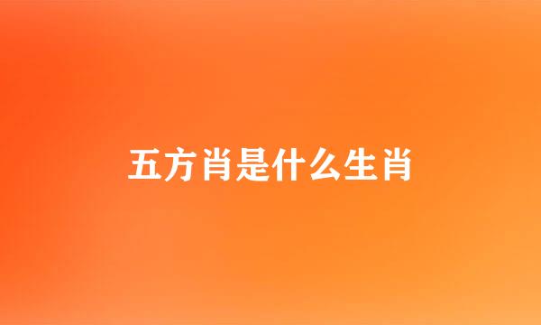 五方肖是什么生肖