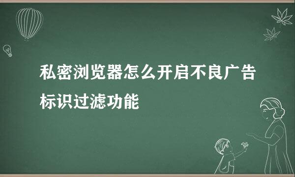 私密浏览器怎么开启不良广告标识过滤功能