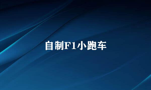 自制F1小跑车