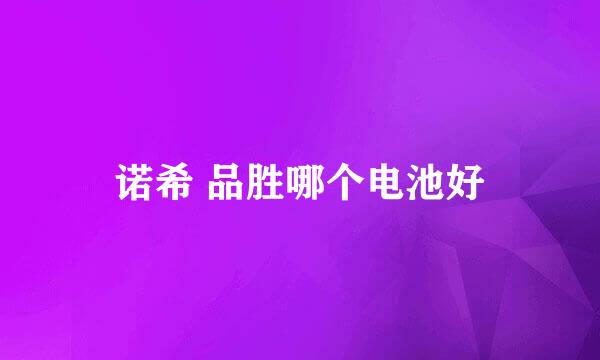 诺希 品胜哪个电池好