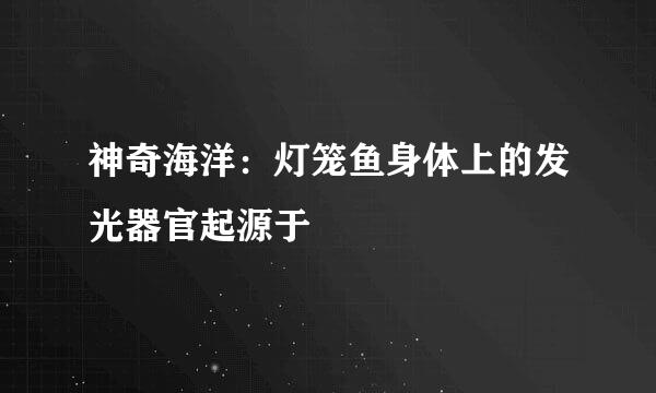 神奇海洋：灯笼鱼身体上的发光器官起源于