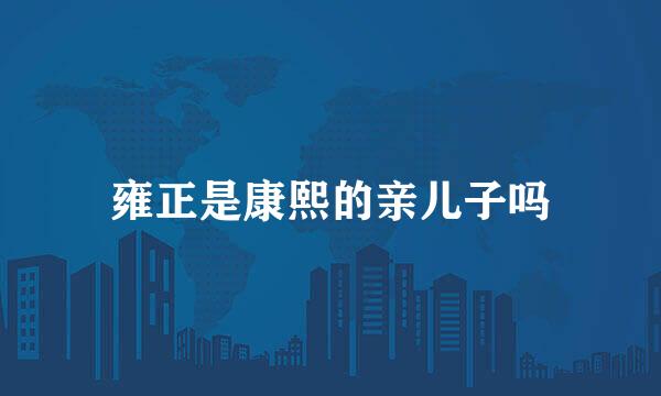 雍正是康熙的亲儿子吗
