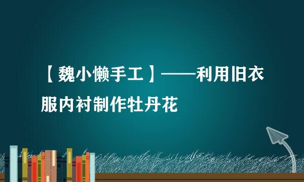 【魏小懒手工】——利用旧衣服内衬制作牡丹花