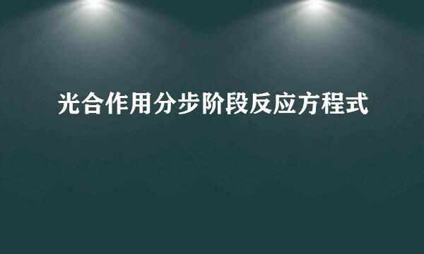 光合作用分步阶段反应方程式