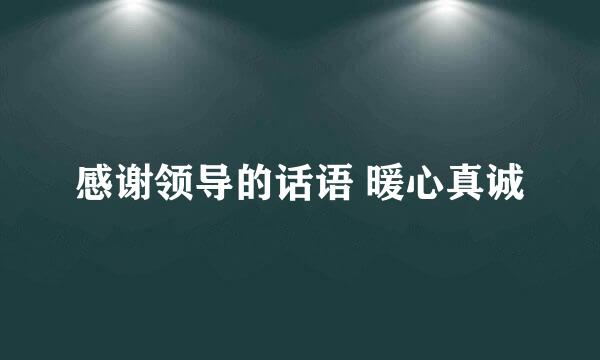 感谢领导的话语 暖心真诚
