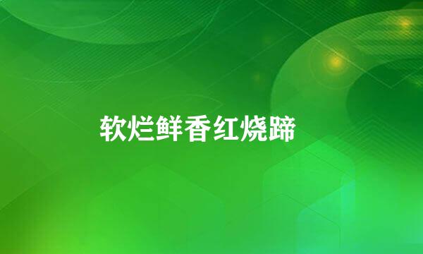 软烂鲜香红烧蹄髈