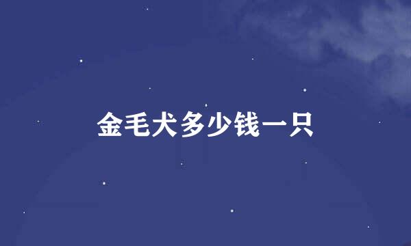 金毛犬多少钱一只