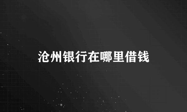 沧州银行在哪里借钱